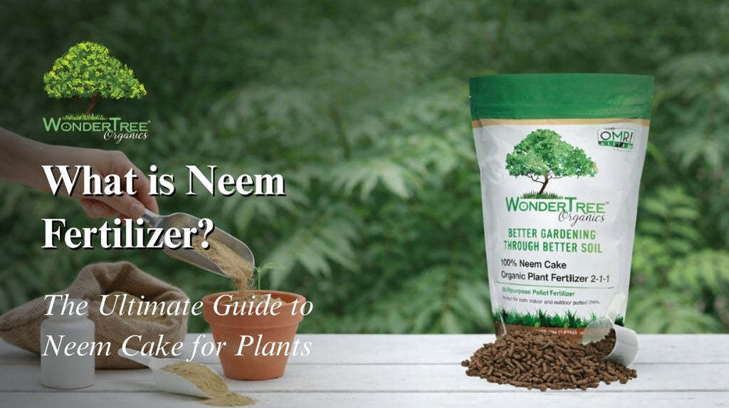 What is Neem Fertilizer? Ultimate Guide to Neem Cake for Plants