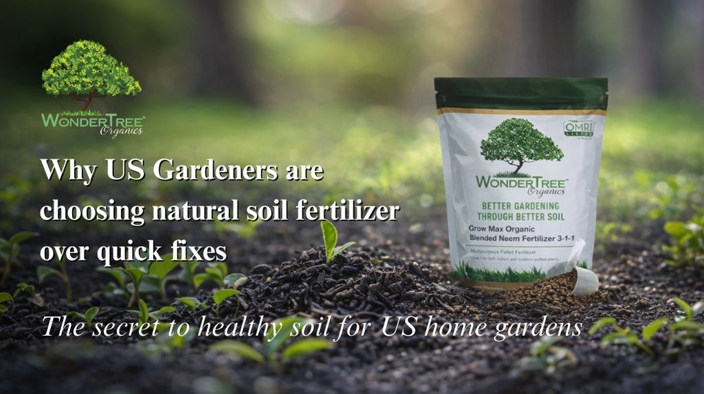 Why US Gardeners are Choosing Natural Soil Fertilizer Over Quick Fixes