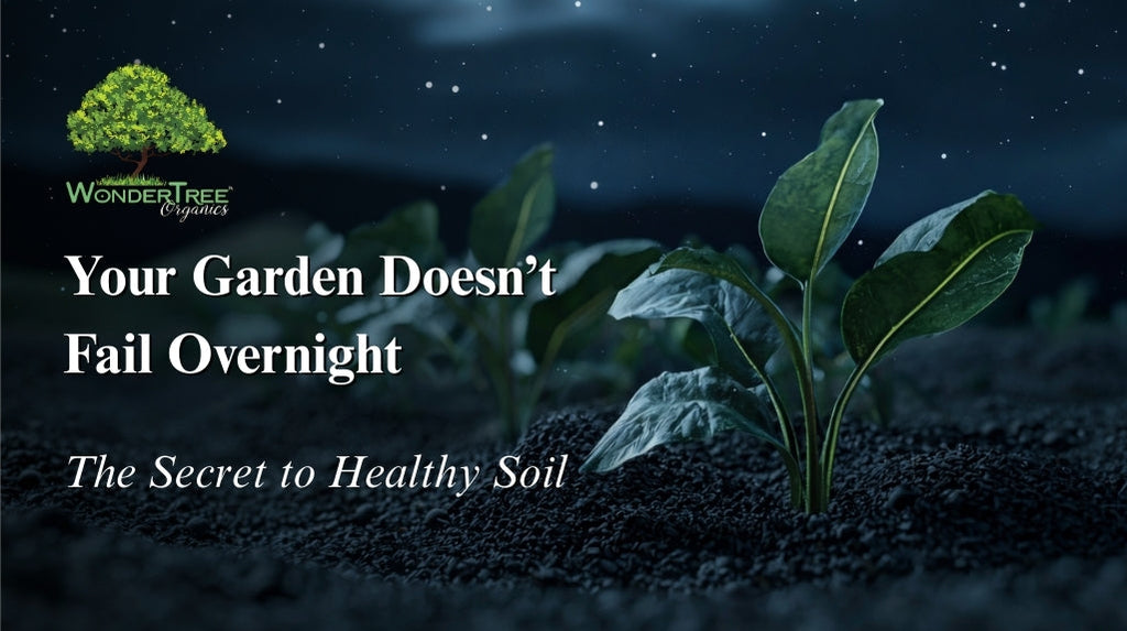 Your Garden Doesn’t Fail Overnight: The Secret to Healthy Soil