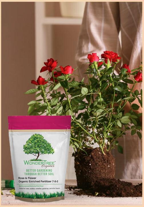 How Natural Fertilizer for Flowers Improves Soil Health?